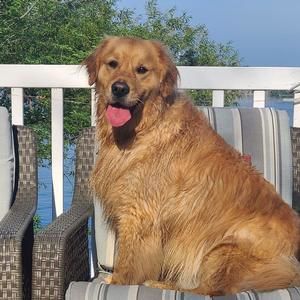 Meet your Posher, Sylvia